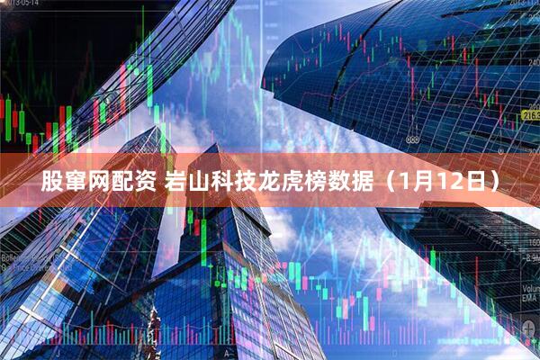 股窜网配资 岩山科技龙虎榜数据（1月12日）